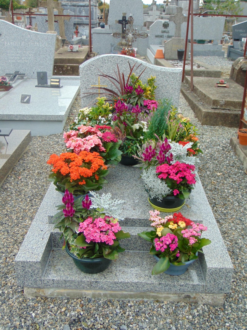 Sépulture entièrement fleurie de plantes colorées